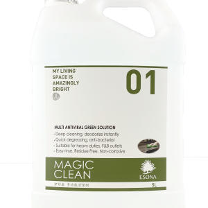 MAGIC CLEAN 5L