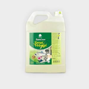 RAPID CLEAN PLUS 5L