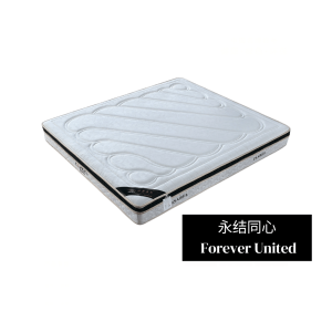 永结同心  Forever United