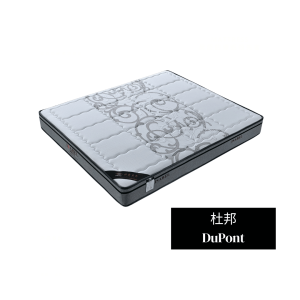 杜邦 DuPont