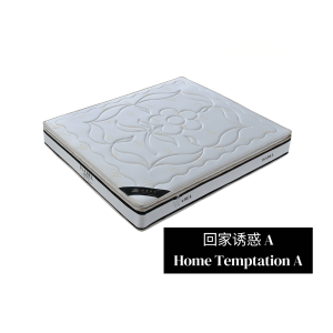 回家诱惑A Home Temptation A