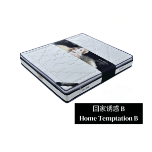 回家诱惑B Home Temptation B