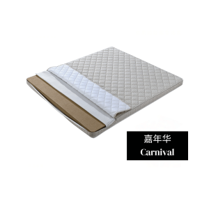 嘉年华 Carnival