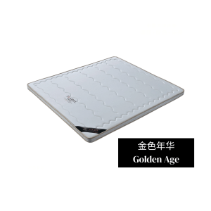金色年华 Golden Age