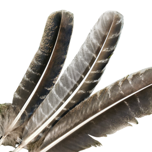 Feather Meditation Pros Cleansing Healing Spiritual Energy
